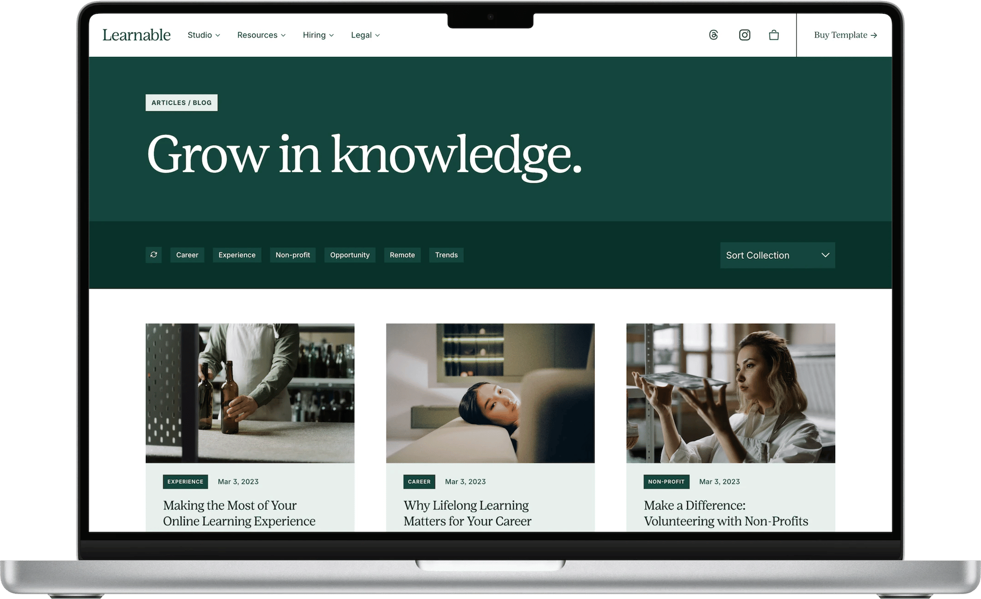 Learnable Squarespace template for course creators, shown on a desktop screen (3 of 7)