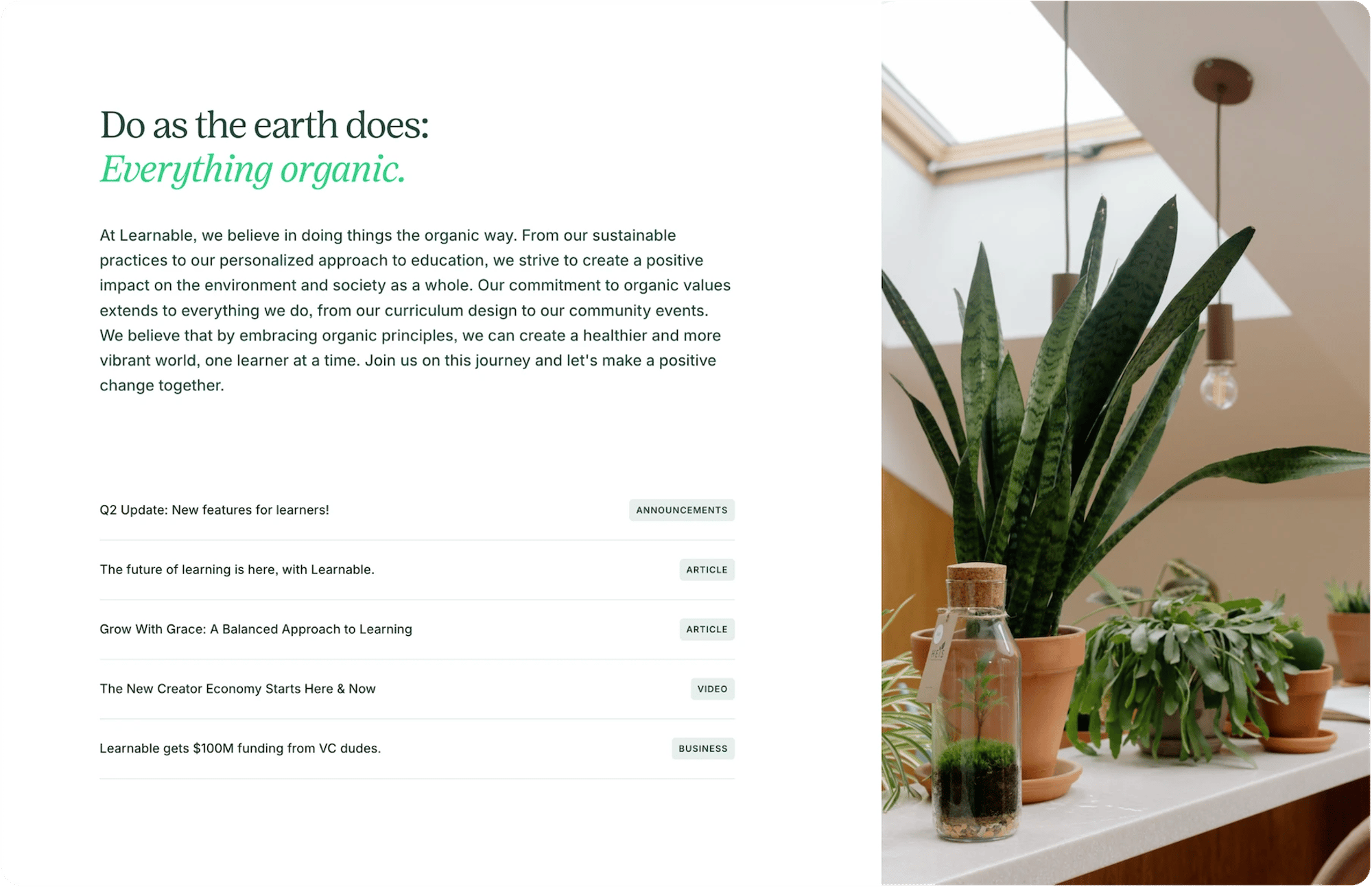 Learnable Squarespace template for course creators, shown on a desktop screen (7 of 7)